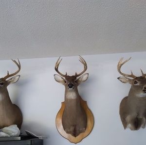 Meet your Posher, Cedric